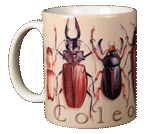 Coleoptera Ceramic Mug - Front