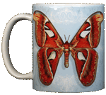 Atlas Moth Ceramic Mug