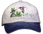Hummingbirds Embroidered Cap - Natural/Blue - Discontinued