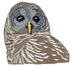Barred Owl Embroidered Cap