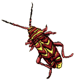 Locust Borer Embroidered Cap