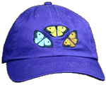 Butterfly Fun Adult Embroidered Cap