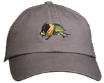 Dung Beetle Embroidered Cap