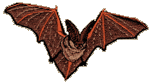 Bat Embroidered Cap
