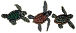 Sea Turtle Trio Embroidered Cap