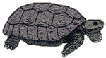 Gopher Tortoise Embroidery