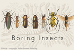 Boring Insects 2" X3" Magnet