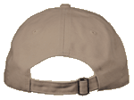 Wood Tick Embroidered Cap