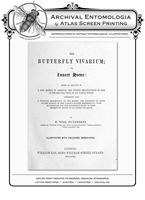 The Vivariam PL VIII Phalana Regia  Reproduction Print