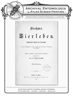 Brehms Tierleben Tropical Butterfies Reproduction Print
