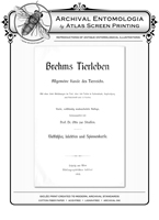 Brehms Tierleben BF & Beetles Pond Reproduction Print