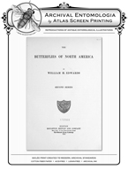 Edwards BF's of NA Papilio I Reproduction Print