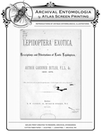 Lepidoptera Exotica PL I Papilio Miranda Reproduction Print