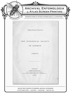 TZSL Vol XIX  PL II Rhynchota Reproduction Print