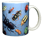 Vintage Insects Ceramic Mug