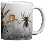 Spiders Ceramic Mug - Back