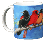Songbird Spectrum Ceramic Mug
