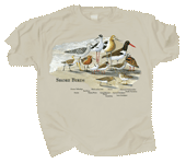 Shorebirds Adult T-shirt
