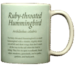 Ruby Throated Hummer Ceramic Mug