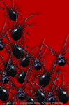 Arachnophobia 2" X 3" Magnet
