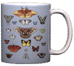 Lepidoptera Ceramic Mug - Back