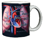 Human Heart Ceramic Mug - Back