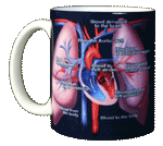 Human Heart Ceramic Mug - Front