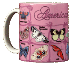 Butterfly ABC Ceramic Mug