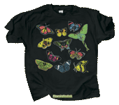 Butterfly Glow Youth T-shirt - DC