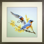 Bluebird Landing Framed Print