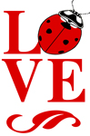 Love Bug 2" X 3" Magnet