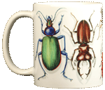 Beetle Circle Ceramic Mug