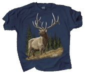 Elk Encounter Adult T-shirt - DC