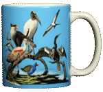 Florida Birds Ceramic Mug - Back