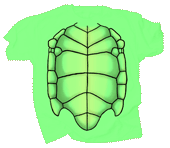 Sea Turtle Shell Youth T-shirt - DC
