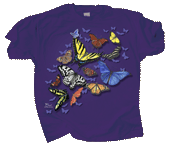 Butterfly Wonder Adult T-shirt - DC