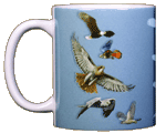 Sky Hunters Ceramic Mug