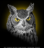 Eye of the Owl Adult T-shirt