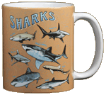 Shark School Ceramic Mug - Back