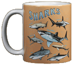 Shark School Ceramic Mug - Front