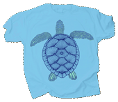 Green Sea Turtle Youth T-shirt - DC