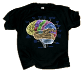 Glow Brain Adult T-shirt - DC