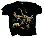 Dinosaur Bones Adult T-shirt