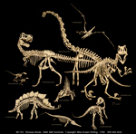 Dinosaur Bones Adult T-shirt
