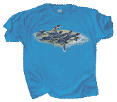 Loggerhead Dash Adult T-shirt (Sea Turtles) - DC