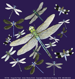 Dragonfly Flight Adult T-shirt