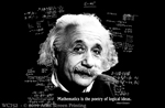 Einstein's Logic 2" X 3" Magnet
