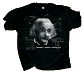 Einstein's Logic Adult T-shirt - DC