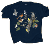 Eastern Birds Adult T-shirt