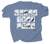 Shorebird Nerd Adult T-shirt - DC